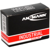ANSMANN Pile alcaline 'Industrial', Mignon AA, pack de 10