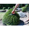Garten PRIMUS Cisaille à buis, petit, longueur : 260 mm