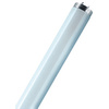 LEDVANCE Tube fluorescent LUMILUX T8, 18 Watt, G13 (830)