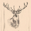 PAPSTAR Serviettes à motif 'Deer', 330 x 330 mm, naturel