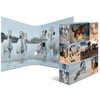 HERMA Classeur à levier à motifs 'Animals', A4, chevaux