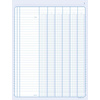 ELVE Piqûre comptable à colonnes, 320 x 240 mm, 100 pages