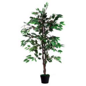 PAPERFLOW Plante artificielle 'Ficus', hauteur : 1.200 mm