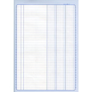 ELVE Piqûre comptable à colonnes, 320 x 240 mm, 80 pages