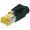 HIROSE Connecteur RJ45 mâle TM31, Cat. 6a, blindé