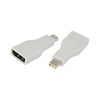 Logilink Adaptateur DisplayPort femelle - mini DisplayPort