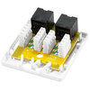 LogiLink Prise RJ45 cat. 6A avec boîtier en saillie, 2x RJ45