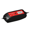 IWH Chargeur pour batterie de voiture 2/4A, 6/12V