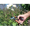 Garten PRIMUS Ressort de rechange pour sécateur pour homme