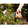 Garten PRIMUS Ressort de rechange pour sécateur spécial rose