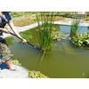 Garten PRIMUS Ressort de rechange pour coupe-branches