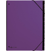 PAGNA Trieur Trend, A4, 12 compartiments, violet