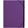 PAGNA Trieur Trend, A4, 12 compartiments, violet