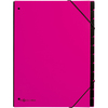 PAGNA Trieur Trend, A4, 12 compartiments, rose foncé