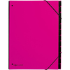 PAGNA Trieur Trend, A4, 12 compartiments, rose foncé