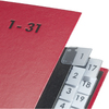 PAGNA Trieur Color, format A4, 1 - 31, 31 compartiments