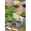 orthex Pot de fleurs CULTIVATE, diamètre : 120 mm, gris