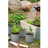 orthex Pot de fleurs CULTIVATE, diamètre: 210 mm, gris
