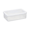 Plast team Boîte de conservation Airtight, 0,3 litre, blanc