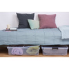 plast team Boîte de rangement HOME BOX BEDROLLER XL, 49 L