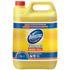 Domestos Nettoyant hygiénique Citrus Fresh Professional,