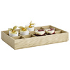 APS Insert pour boîte en bois VALO, GN 1/1, 505 x 300 x 60mm