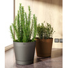 tera Pot de fleurs 'Orione', diamètre: 290 mm, blush