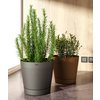 tera Pot de fleurs 'Orione', diamètre: 290 mm, oversea