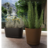 tera Jardinière 'Vega', largeur: 400 mm, ash