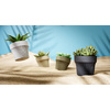 tera Cache-pot 'Tiny', diamètre: 90 mm, golden lime