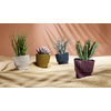 tera Cache-pot 'Mini', diamètre: 130 mm, golden lime