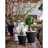 tera Pot de fleurs 'Hoop', diamètre: 160 mm, black