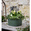 tera Bac à plantes 'Rodi', largeur: 370 mm, fog grey