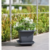tera Pot de fleurs 'Nazca', largeur: 450 mm, anthracite