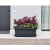 tera Jardinière 'Tikal', largeur: 620 mm, anthracite