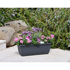 tera Jardinière XXL 'Tora', largeur: 600 mm, anthracite
