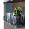 tera Pot de fleurs 'Madeira 16', transparent