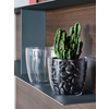 tera Pot de fleurs 'Madeira 18', transparent