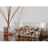 tera Pot de fleurs 'Coimbra 25', transparent