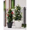 tera Pot de fleurs 'Standard One 140', antracite