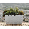 tera Bac à plantes 'Petram 80', stone grey