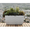 tera Bac à plantes 'Petram 80', slade stone