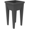 EDA Couvercle pour mini-jardinière 'VEG&Table', transparent