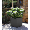 EDA Bac à plantes BASALT UP, cubique, 295 mm, anthracite