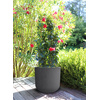 poétic Bac à plantes BASALT UP, rond, 485 mm, anthracite