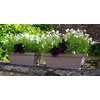 Poétic Set jardinière et soucoupe ROMEO, set de 2, kaki