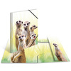 HERMA Chemise à élastiques Animaux exotiques, A4, suricates