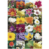 HERMA Autocollants DECOR 'Fleurs dans un panier'