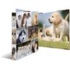 HERMA Classeur à anneaux 'Animals'chiens,A4,mécanisme à 2 anneaux,