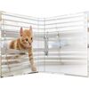 HERMA Classeur à anneaux 'Animals' - chats, A4, mécanisme à